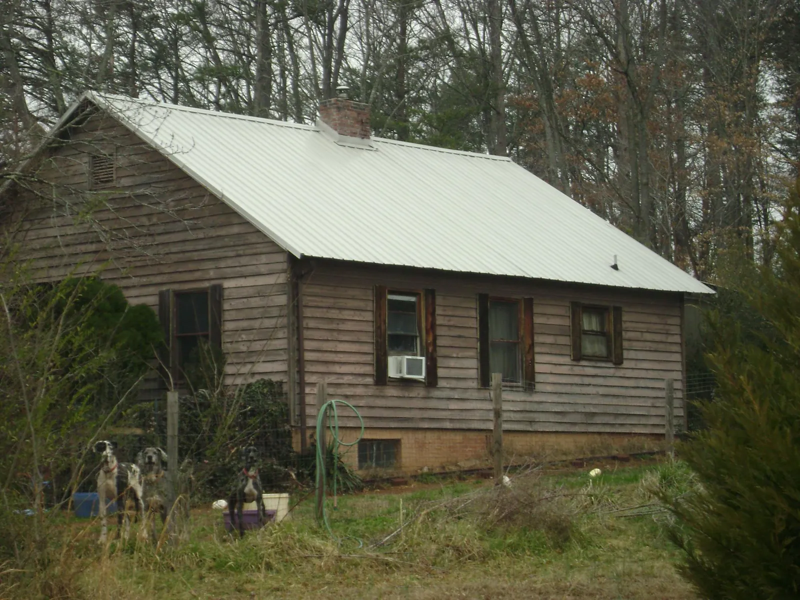 White metal roof on an old wood sided farmhouse, from a Asphalt Shingle Roof Repair job in Galt